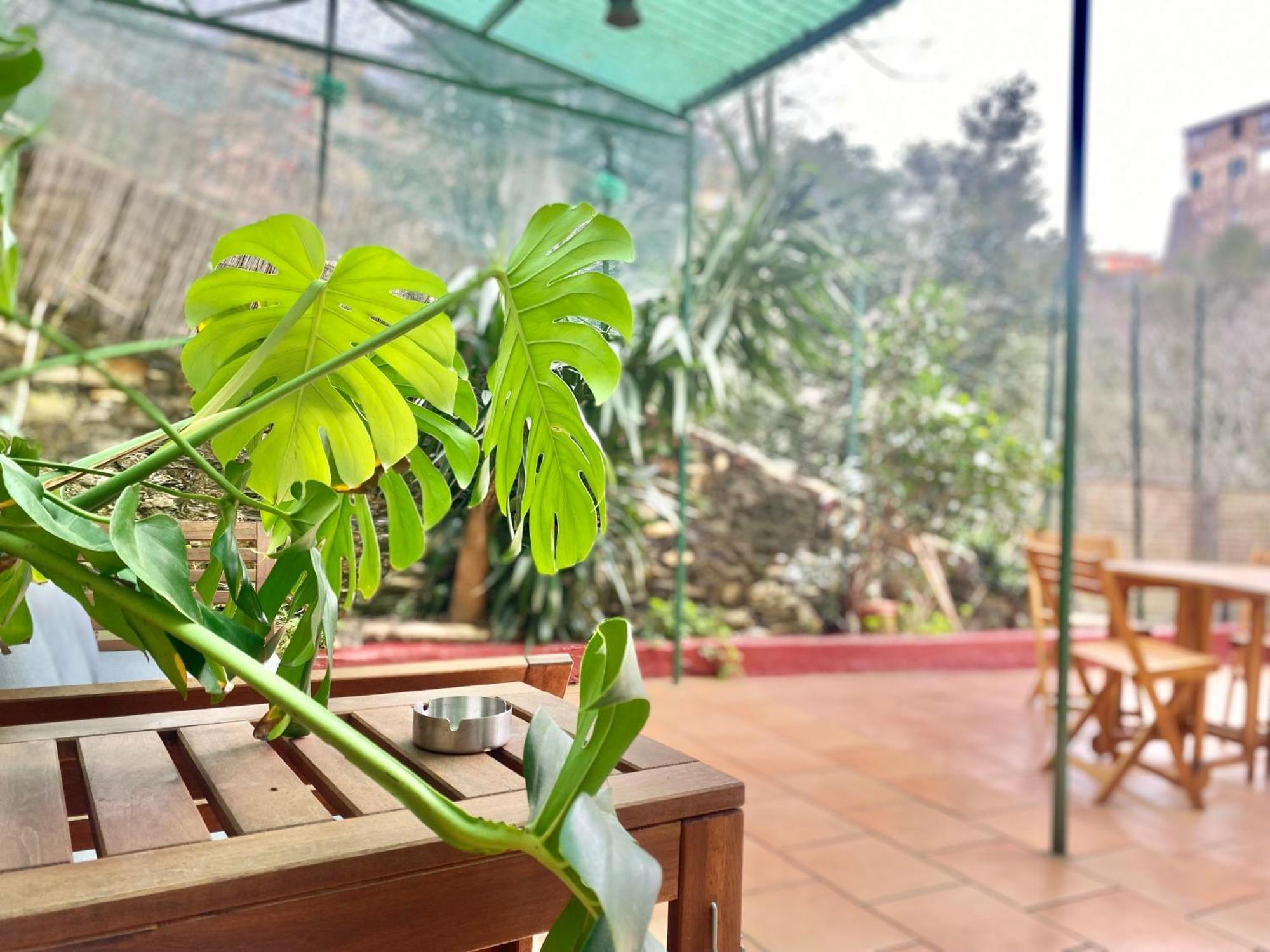 Casaviva - Bilo With Patio In Genova San Teodoro Apartment Exterior photo